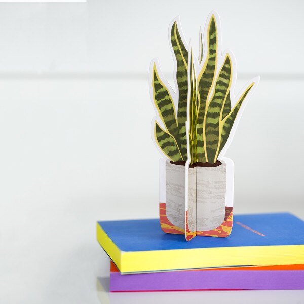 Snake plant fabric image